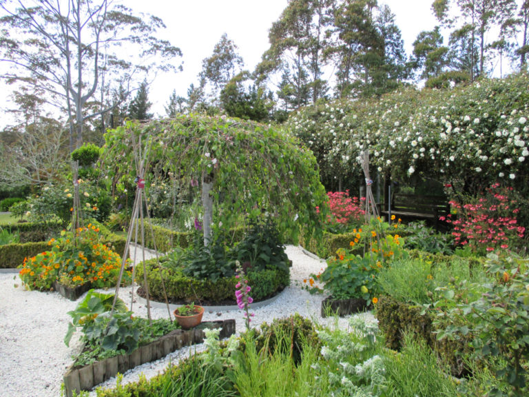 the boxed garden near the rose tunnel
