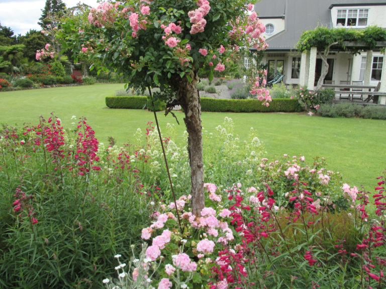 flower borders surrounding seronera wedding venue