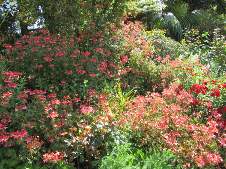 country garden flower borders