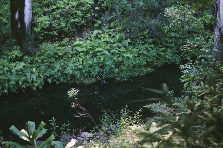 river bank for romantic photos