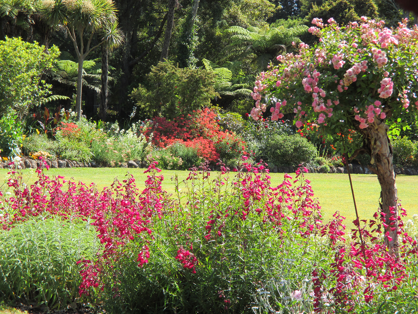 garden wedding venue kerikeri bay of islands